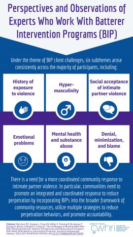 Image of Perspectives and Observations of Experts Who Work with Batterer Intervention Programs (BIP)