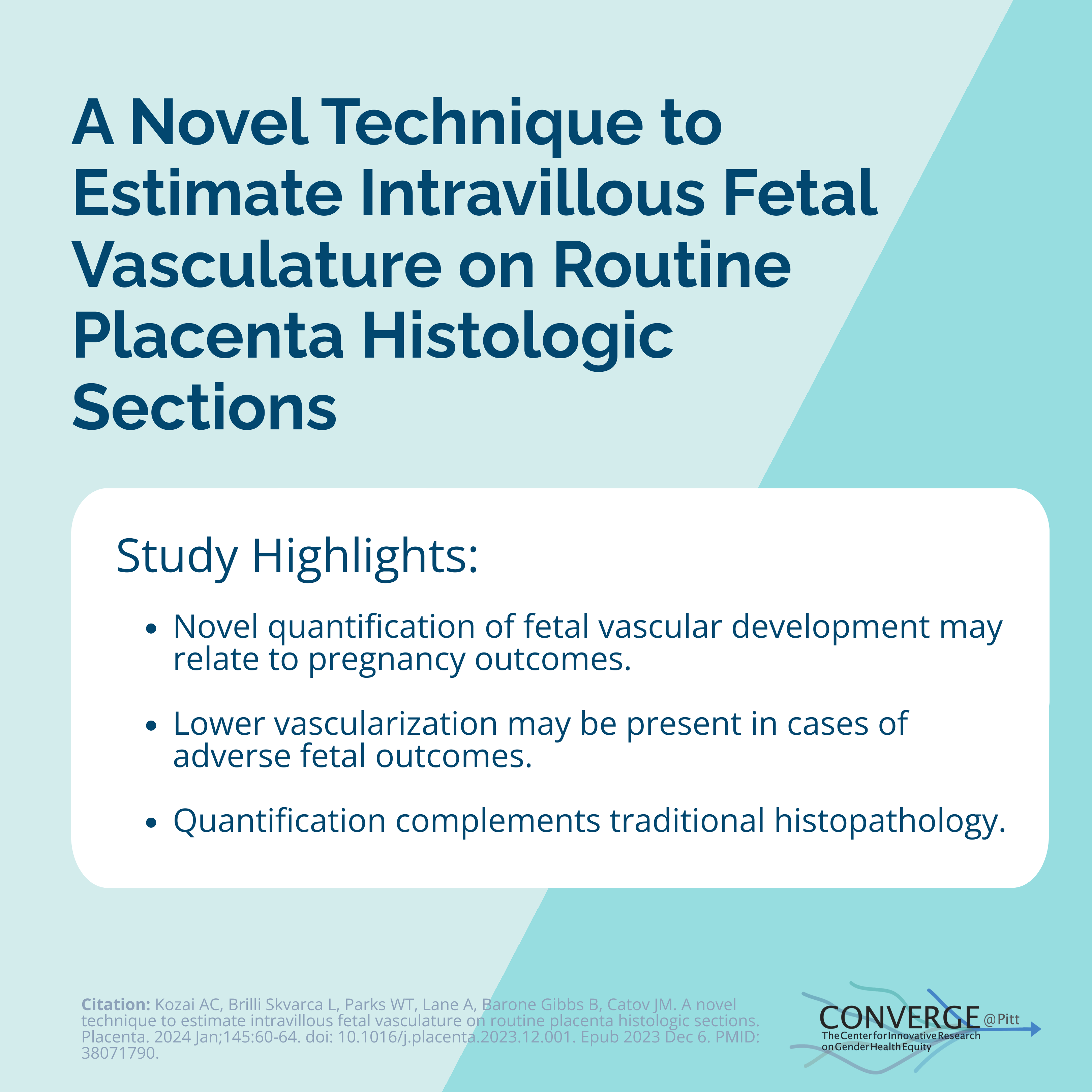 A novel technique to estimate intravillous fetal vasculature on routine placenta histologic sections