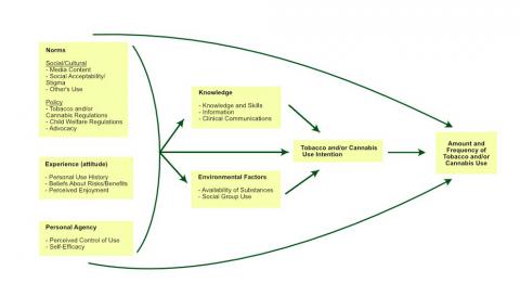 Conceptual Model of Perceptions of Safety Around Use of Cannabis and Nicotine/Tobacco in Pregnancy