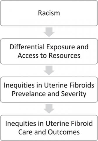 racism with arrow to differential exposures and access to resources with arrow to inequities in uterine fibroids prevalence and severity with arrow to inequities in uterine fibroid care and outcomes