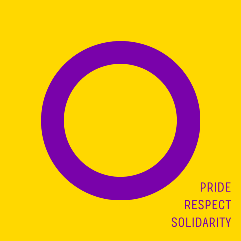 intersex flag with the terms "price, respect, solidarity" 