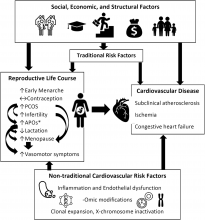 Women's Reproductive Milestones and Cardiovascular Disease Risk: A Review of Reports and Opportunities From the CARDIA Study