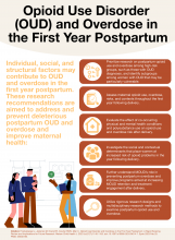 Individual, social, and structural factors may contribute to OUD and overdose in the first year postpartum. These research recommendations are aimed to address and prevent deleterious postpartum OUD and overdose and improve maternal health: